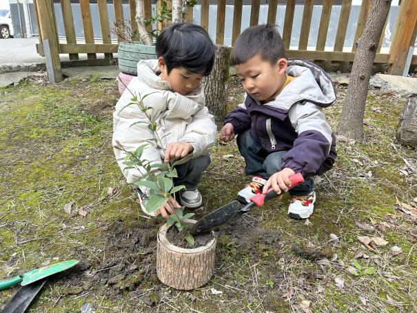 春风添新绿 童心植希望———铜罗幼儿园植树节主题活动
